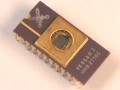 Zv�t�it