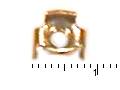 Zv�t�it