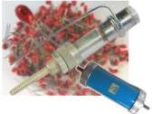 Zv�t�it
